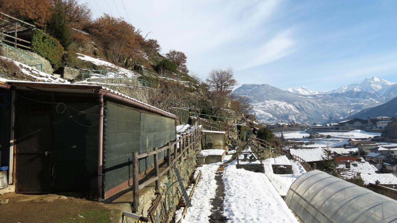 Lo Gnomo Sotto Al Glicine Lägenhet Châtillon Exteriör bild